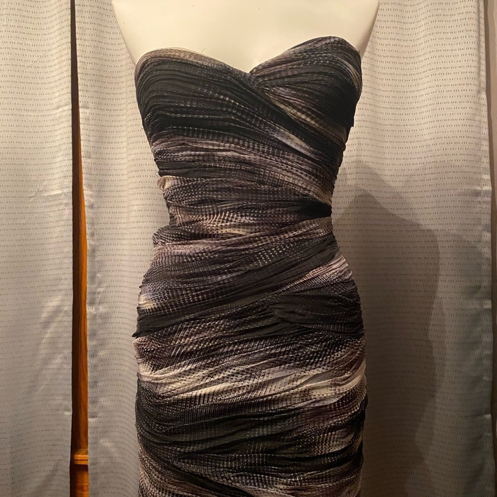 BCBG cocktail dress.